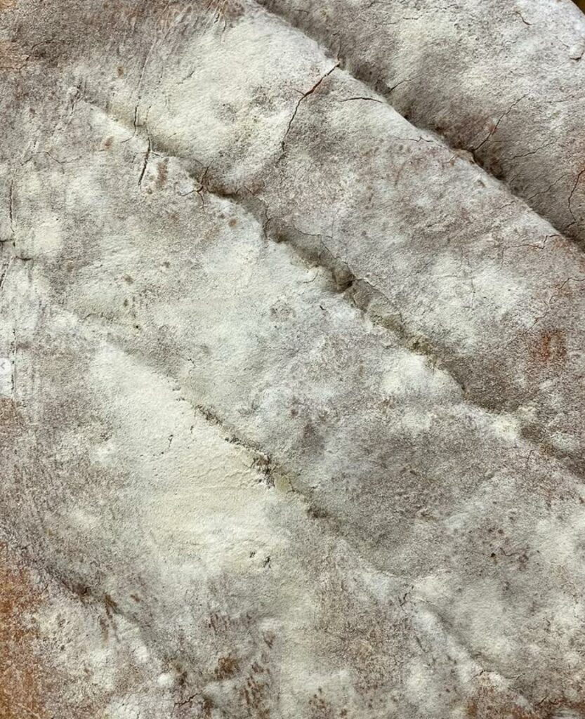buen pan de verdad con harinas seleccionada forn garcia castellon
